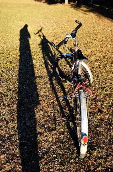 阴影和自行车 — 图库照片