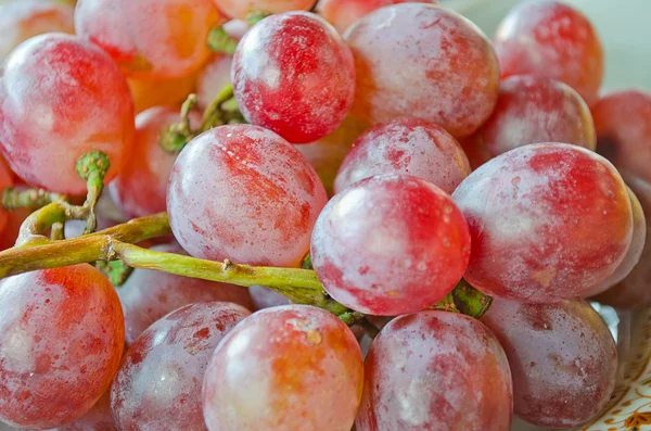 Red Grape,Vitis vinifera Linn of Vitidaceae — Stock Photo, Image