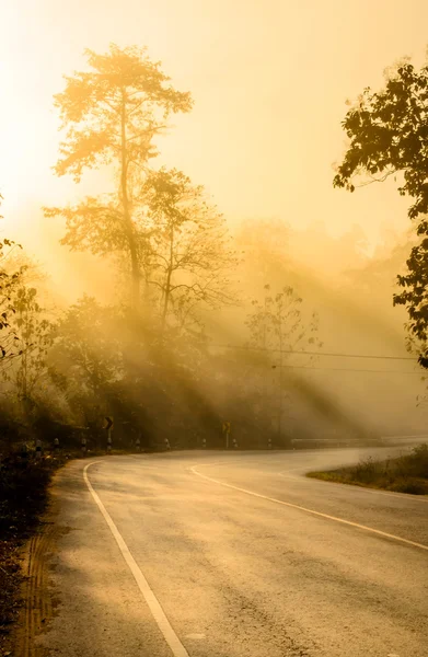 Árvore de silhueta e estrada com raio de sol — Fotografia de Stock