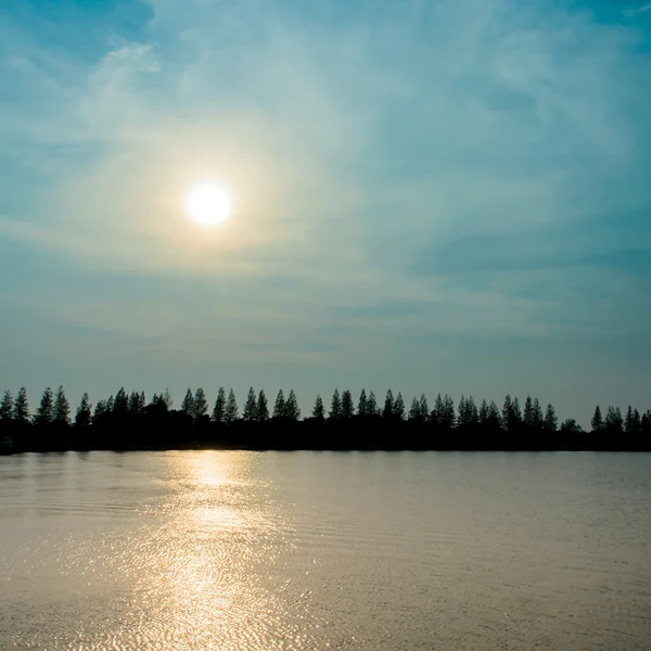 Silhouette Kiefer und Reflexion Sonnenstrahl auf Fluss — Stockfoto