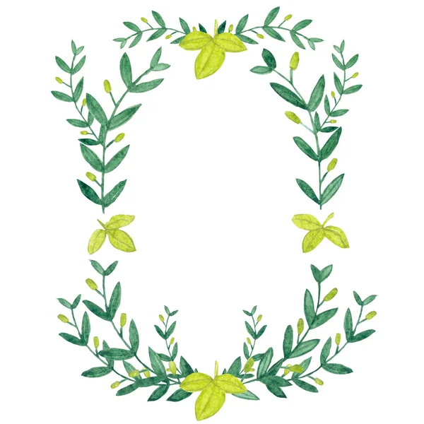 Watercolor olive wreath. Isolated illustration on white backgrou — Stockfoto