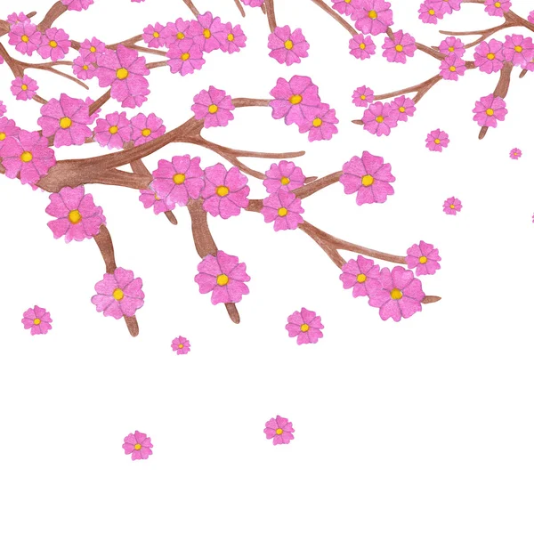 Aquarel Sakura tak met bloeiende bloemen en kopieer ruimte. — Stockfoto