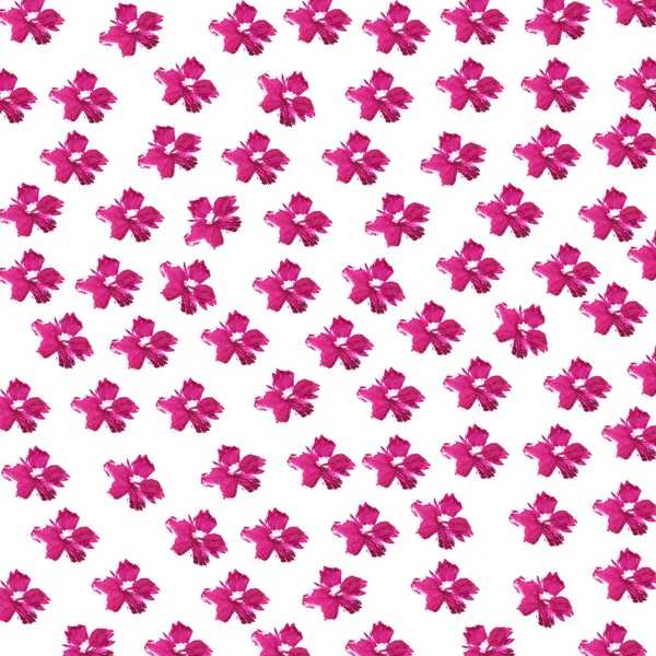 Pattern with red watercolor flowers on white background. — ストック写真