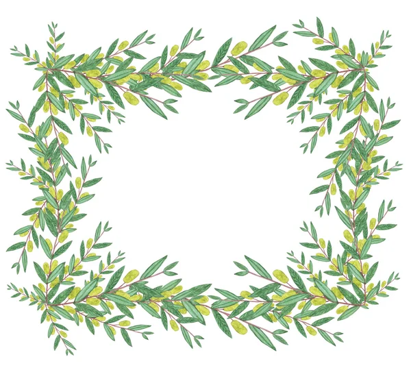 Watercolor olive wreath. Isolated illustration on white backgrou