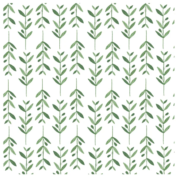 Patrón vectorial acuarela con ramas de oliva . — Archivo Imágenes Vectoriales