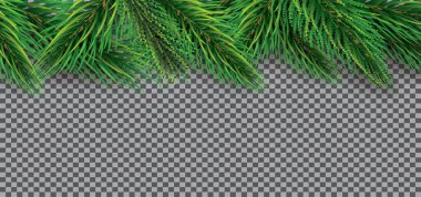 Şeffaf Arkaplan 'da firavun dallarıyla Noel süslemesi. Vektör İllüstrasyonu. Yukarıdaki Çam Sprigleri.