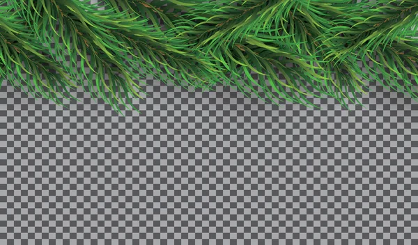 Bordure Noël Avec Branches Sapin Sur Fond Transparent Illustration Vectorielle — Image vectorielle