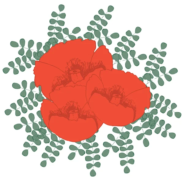 Red poppies — Stock Vector