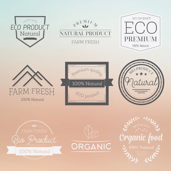 Set of vintage style elements for labels and badges — Stock Vector