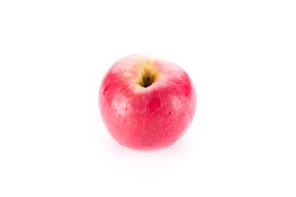 Manzana roja sobre blanco —  Fotos de Stock