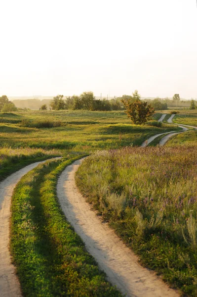 Paisaje de verano con carretera y hierba verde — Foto de Stock