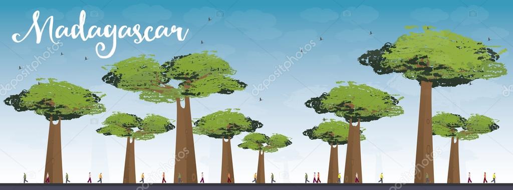 Madagascar skyline silhouette with baobabs with green foliage