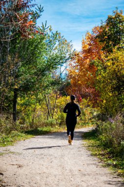Kız aceleyle ormanda evine gidiyor ve sonbahar ormanının güzelliğini fark etmiyor.