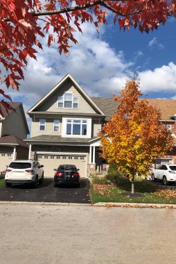 Portakallı genç bir akçaağaç, sonbahar yaprakları yerleşim alanındaki bir evin yakınındaki çimenlikte yetişir.