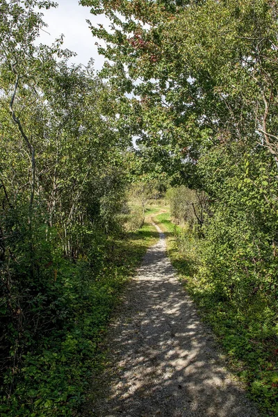 Sendero Sinuoso Conduce Desde Bosque Través Del Campo Las Zonas — Foto de Stock