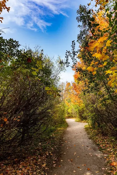 Tortuoso Colorato Sentiero Autunnale Nell Area Del Parco — Foto Stock