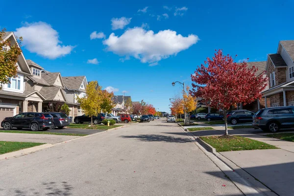 Young Maples Were Planted City New Districts Autumn Painted City — Stock Photo, Image