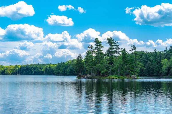 在森林湖上的一个小岛上 它们在蓝天下生长着白云 其中有石头 松树和云杉 — 图库照片