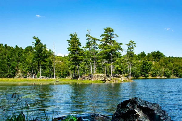 Landskap Med Liten Med Höga Träd Och Stora Stenar Sjö — Stockfoto