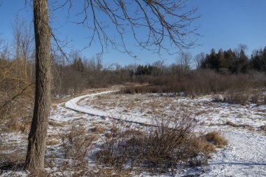 Karla kaplı patikada çok sayıda insan ve hayvan ayak izi var.