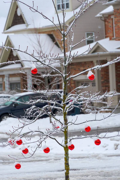 Gyerekek Díszített Egy Fát Udvaron Piros Golyók Ünnep — Stock Fotó