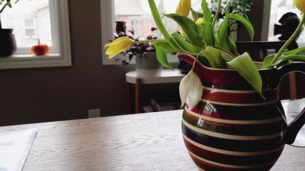 Petali Gialli Dei Primi Tulipani Primaverili Cadono Sul Tavolo Pranzo — Video Stock