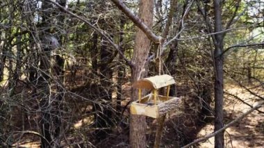 Bir bahar ormanında ağaçtan sarkan yiyecekle ahşap kuş besleyicisi