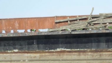 Küçük bir çim biçme makinesi arkasında toz bulutu bırakarak bir orman yolu boyunca sürdü.