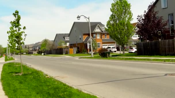 Small Lawn Mower Tractor Drove Forest Path Leaving Cloud Dust — Stock Video