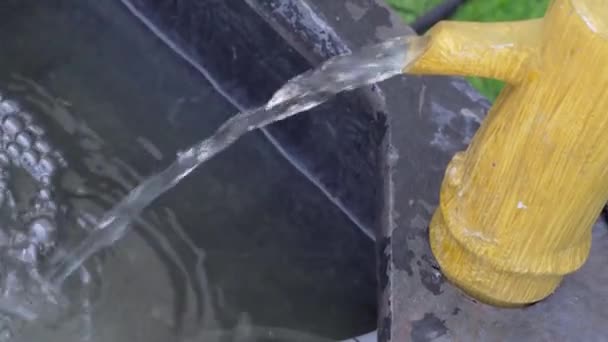 Чиста Проточна Вода Тече Жовтого Крана Маленький Басейн Квітковій Оранжереї — стокове відео