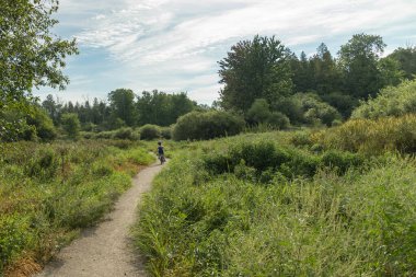 Küçük bir kız, güzel bir yaz gününde, yol boyunca yeşil bir arazide bisiklet sürüyor.