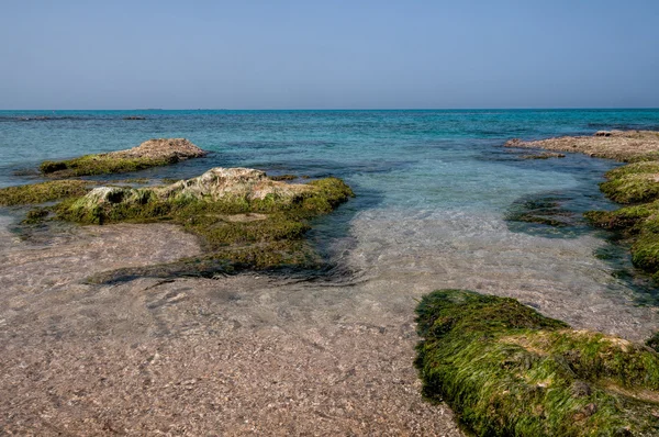 Groene eilanden in de zee — Stockfoto