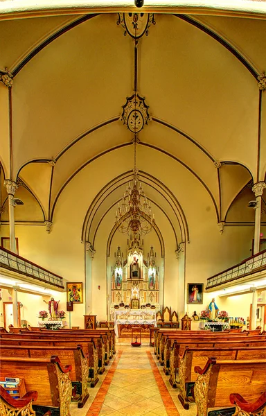 Vertorama, fragment Catholic Cathedral — Stock Photo, Image