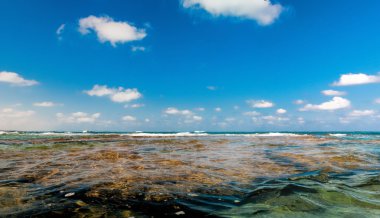 Sadece deniz ve gökyüzü