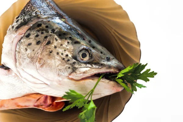 balık kafası bir plaka üzerinde