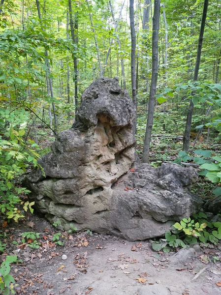 Leśnictwo potwora kamienia — Zdjęcie stockowe