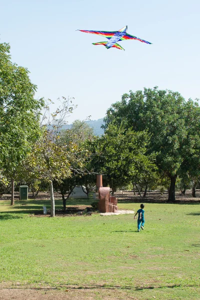 Niño pequeño comienza una cometa en un cielo — Foto de Stock