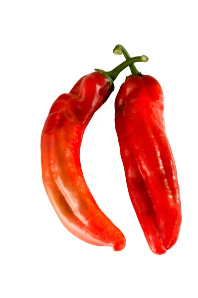 Two red, sweet pepper — Stock Photo, Image