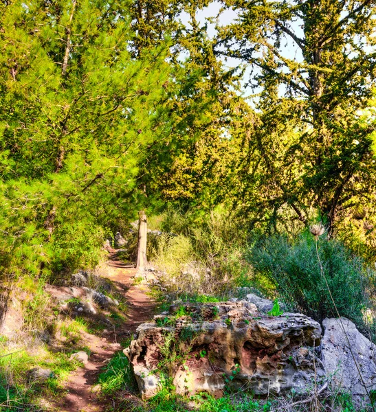 Trekking-Mountainbiker — Stockfoto