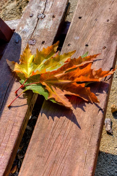 Τρεις το φθινόπωρο τα φύλλα σε ένα ξύλινο παγκάκι — Φωτογραφία Αρχείου