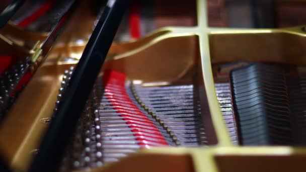 Selective Focus Grand Piano Interior Grand Piano Showing Strings Hammers — Stock Video