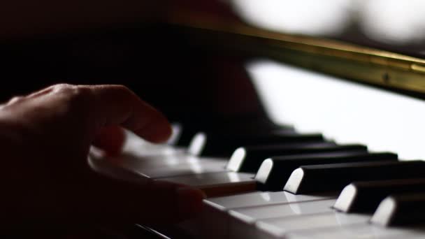 Concentration Sélective Sur Touche Piano Les Doigts Pour Jouer Piano — Video