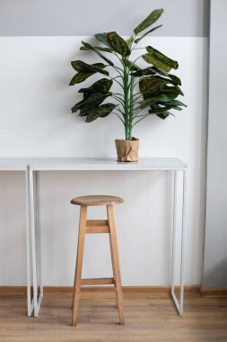 Masası, yüksek ahşap koltuğu ve saksıda saksısı olan serbest çalışanlar için minimalist bir iç mekan. Kahve dükkanı için beyaz masa ve yüksek bar taburesi. İçişleri Bakanlığı. Eş zamanlı çalışmada çalışma alanının içi 