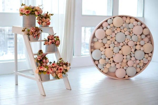 Interior with ladder and Bouquets peonies in round boxes. Wedding ceremony decor. Colorful balls. Decorative Pink and blue bubbles. Wooden ladder used as shelves for Different plants in home interior