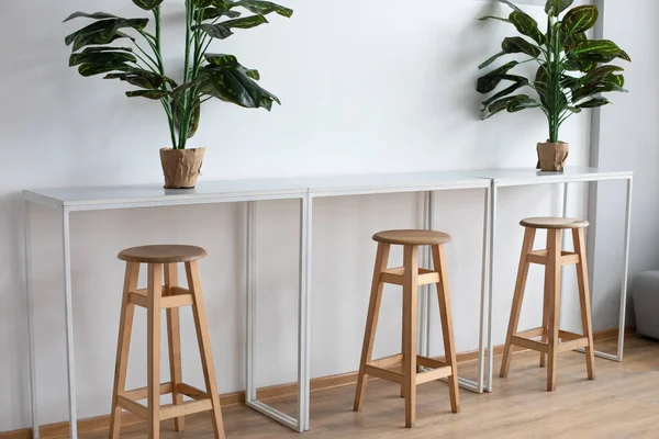 Simple Sitting Area Table High Chairs Plant Pots Minimalist Design — Stock Photo, Image