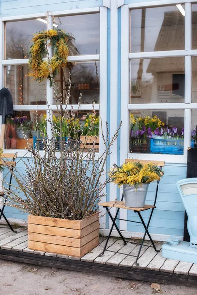 Bloemen Koop Bij Bloemenwinkel Houten Veranda Van Huis Met Wilgentakken — Stockfoto