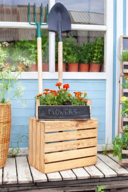 Summer decor veranda house. Blooming orange Tagetes flowers in pot on verande. Flower shop. Growing potted house plants. Exterior wooden porch of house with green plants, herbs and flowers in box. 