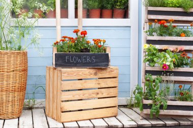 Yazlık veranda evi. Saksı bitkileri yetiştiriyorum. Evin dış verandasında yeşil bitkiler, bitkiler ve kutuda çiçekler var. Verande 'de çiçek açan portakallar. Çiçekçi. 