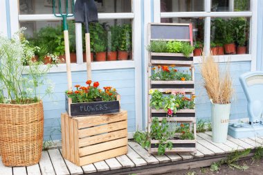 Verande 'de çiçek açan portakallar. Çiçekçi. Yazlık veranda evi. Saksı bitkileri yetiştiriyorum. Evin dış verandasında yeşil bitkiler, bitkiler ve çiçekler var.. 