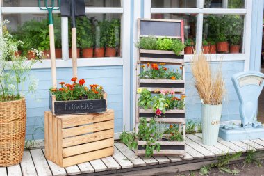 Verande 'de çiçek açan portakallar. Çiçekçi. Yazlık veranda evi. Saksı bitkileri yetiştiriyorum. Evin dış verandasında yeşil bitkiler, bitkiler ve çiçekler var.. 